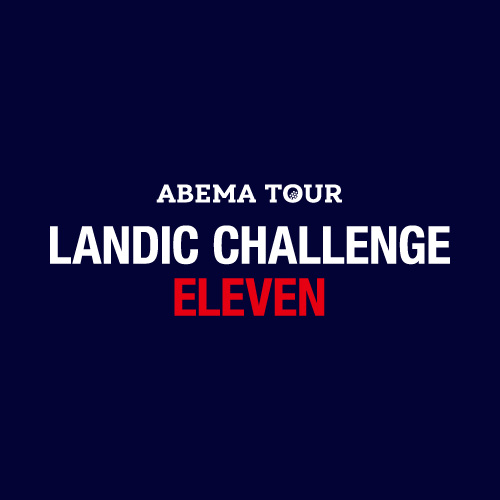 LANDIC CHALLENGE 11